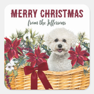 Adesivo Quadrado Poinsettia Bichon Frise, Cachorro de Natal
