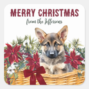 Adesivo Quadrado Poinsettia - German shepherd de Natal