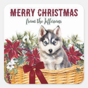 Adesivo Quadrado Poinsettia Siberian Husky - Cesto de Natal