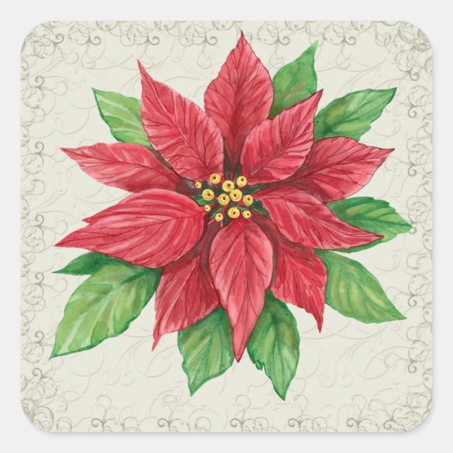 Adesivo Quadrado Poinsettia Sticker - SRF (Frente)