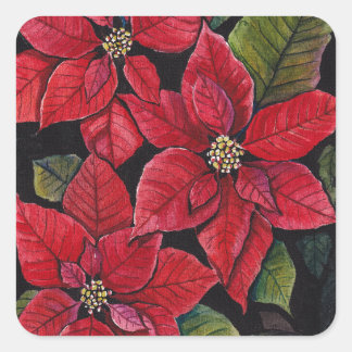 Adesivo Quadrado Poinsettia Vibrante Em Aquarela