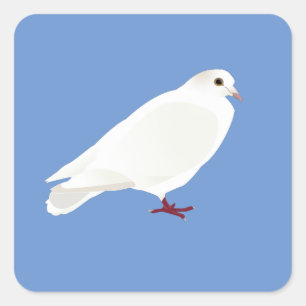 Adesivo Quadrado Pombo branco (pomba)