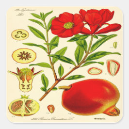 Adesivo Quadrado Pomegranato