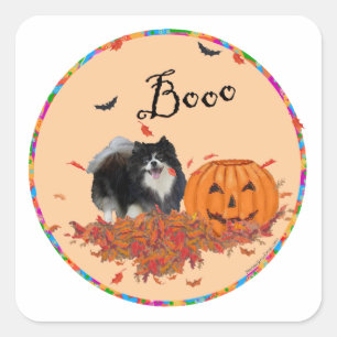 Adesivo Quadrado Pomerânia Preto Halloween