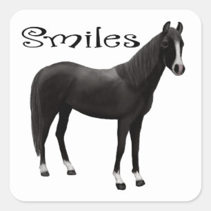 Adesivo Quadrado Pônei Preto Pensando em você Sorrisos Olá Cavalo