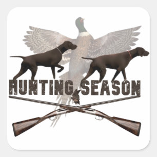 Adesivo Quadrado Ponteiro alemão de curta distância,kurzhaar