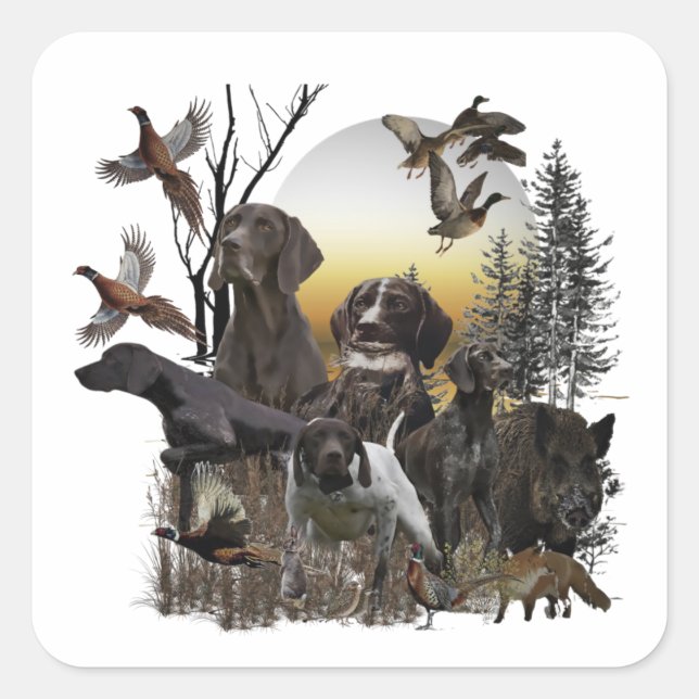 Adesivo Quadrado Ponteiro alemão Shorthired (Frente)