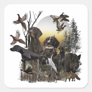 Adesivo Quadrado Ponteiro alemão Shorthired