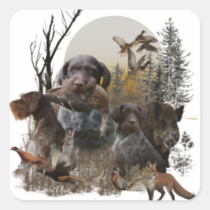 Adesivo Quadrado Ponteiro alemão Wirehaired
