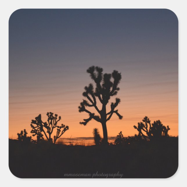 Adesivo Quadrado Ponteiro do Sol Joshua Trees (Frente)