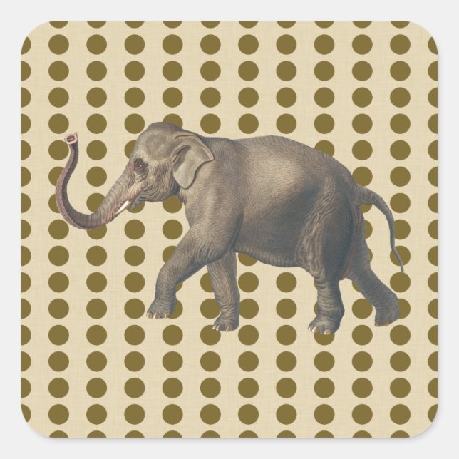 Adesivo Quadrado Pontos de Moda de Especiarias Curry com Elefante (Frente)