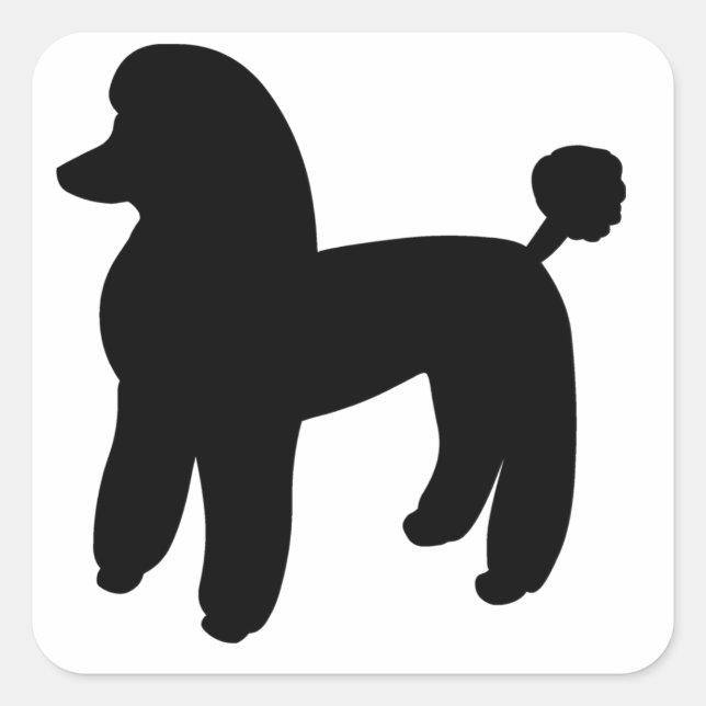 Adesivo Quadrado Poodle Dog (Frente)