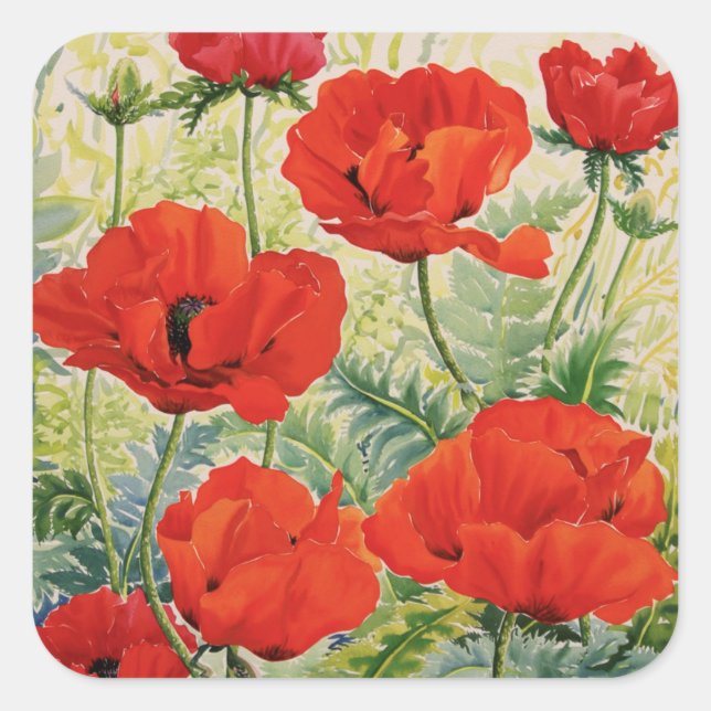 Adesivo Quadrado Poppies Vermelhos Grandes (Frente)