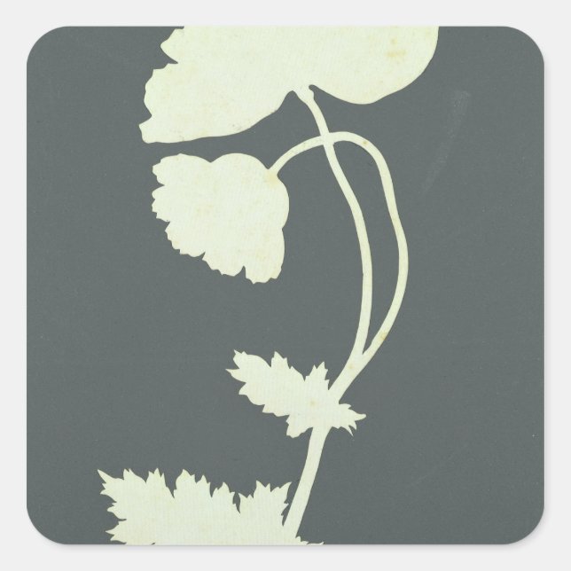 Adesivo Quadrado Poppy (Frente)