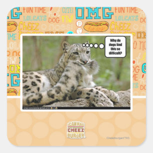 Adesivo Quadrado Por que os cachorros acham isso tão difícil?