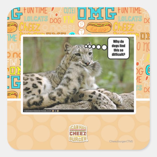 Adesivo Quadrado Por que os cachorros acham isso tão difícil? (Frente)