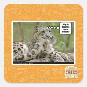 Adesivo Quadrado Por que os cachorros acham isso tão difícil?