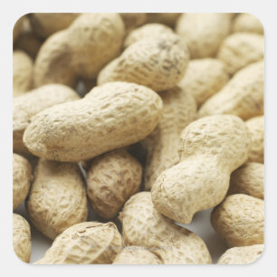 Adesivo Quadrado Porcas de macaco