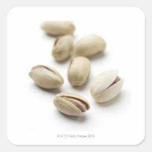 Adesivo Quadrado Porcas de Pistachio