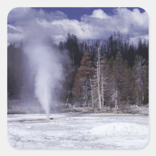 Adesivo Quadrado Pork Chop Geyser ,Yellowstone National Park