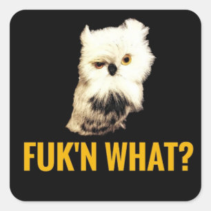 Adesivo Quadrado Porra, o quê?