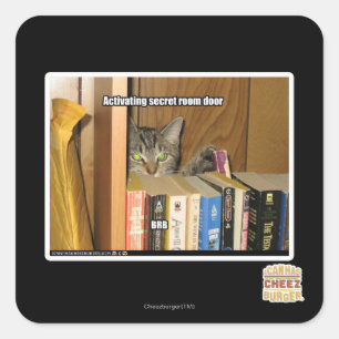 Adesivo Quadrado Porta secreta de activação da sala
