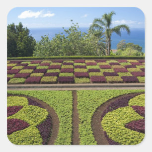 Adesivo Quadrado Portugal, Ilha da Madeira, Funchal. Botânica