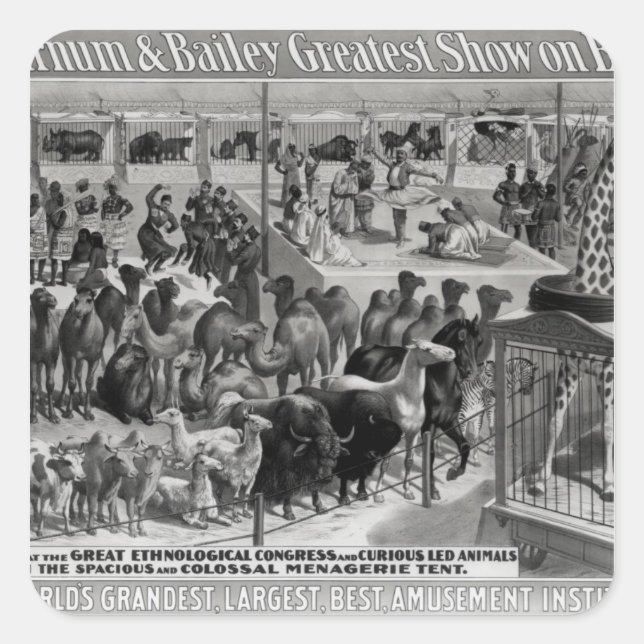 Adesivo Quadrado Poster publicando: 'Barnum e Bailey (Frente)