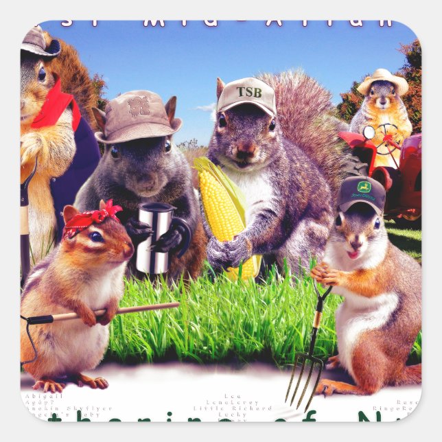 Adesivo Quadrado Poster TSB (Frente)