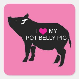 Adesivo Quadrado Pote Belly Pig Stickers