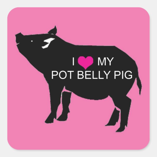 Adesivo Quadrado Pote Belly Pig Stickers (Frente)