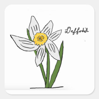 Adesivo Quadrado Praça Daffodil Sticker