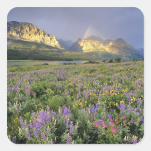 Adesivo Quadrado Prado de Flores Silvestres perto do Lago Sherbourn