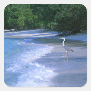 Adesivo Quadrado Praia 2