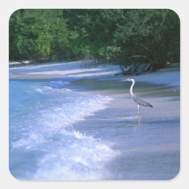 Adesivo Quadrado Praia 2 (Frente)