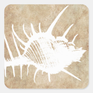 Adesivo Quadrado Praia de Seahell no Oceano Branco da Vintage