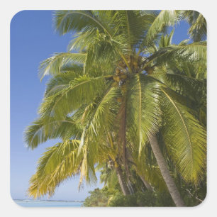 Adesivo Quadrado Praia na ilha One Foot, Aitutaki, Ilhas Cook