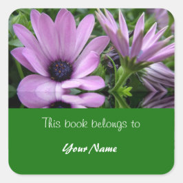Adesivo Quadrado prato de livro, flores de margarida roxa