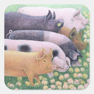 Adesivo Quadrado Prazer puro