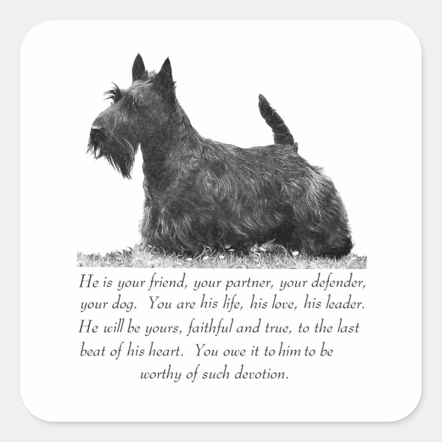 Adesivo Quadrado Presente de Terrier Escocês - Cão MACHO (Frente)