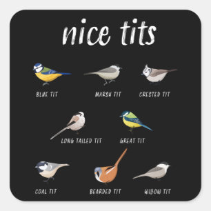 Adesivo Quadrado Presente engraçado de observação de pássaros para 