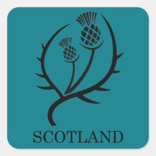 Adesivo Quadrado Presente escocês do viagem de Scotland do cardo