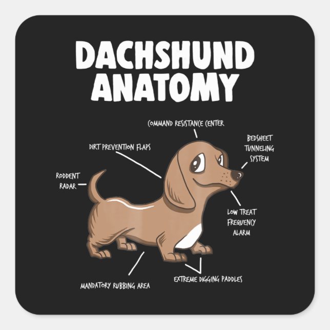 Adesivo Quadrado Presente no cão | Anatomia Dachshund Funny Weiner (Frente)