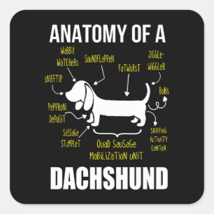Adesivo Quadrado Presente no cão   Anatomia De Dachshund