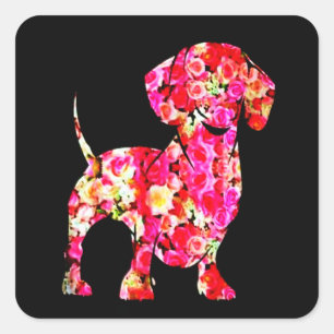 Adesivo Quadrado Presente no cão   Maravilhosa Flor Dachshund Girl