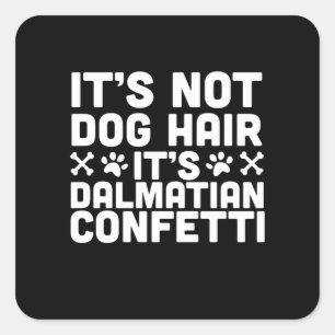 Adesivo Quadrado Presente no cão O Cabelo Do Cão Não É O Dalmacia