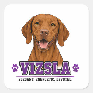 Adesivo Quadrado 🐾 Presente para Amantes de Cães Vizsla 🐾