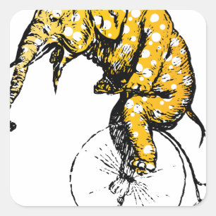 Adesivo Quadrado Presentes de elefante de circo