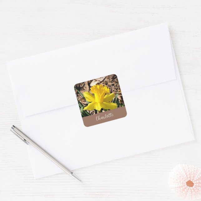 Adesivo Quadrado Primavera amarelo Daffodil no nome personalizado d (Envelope)