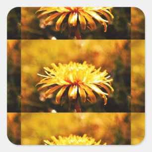 Adesivo Quadrado Primavera amarelo das videiras das flores das